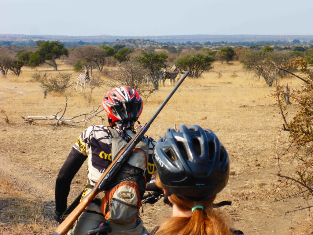 www.iamcalgary.ca IAmCalgary 2016 Cycle Mashatu Botswana Safari Christa and Mario Gun Zebra