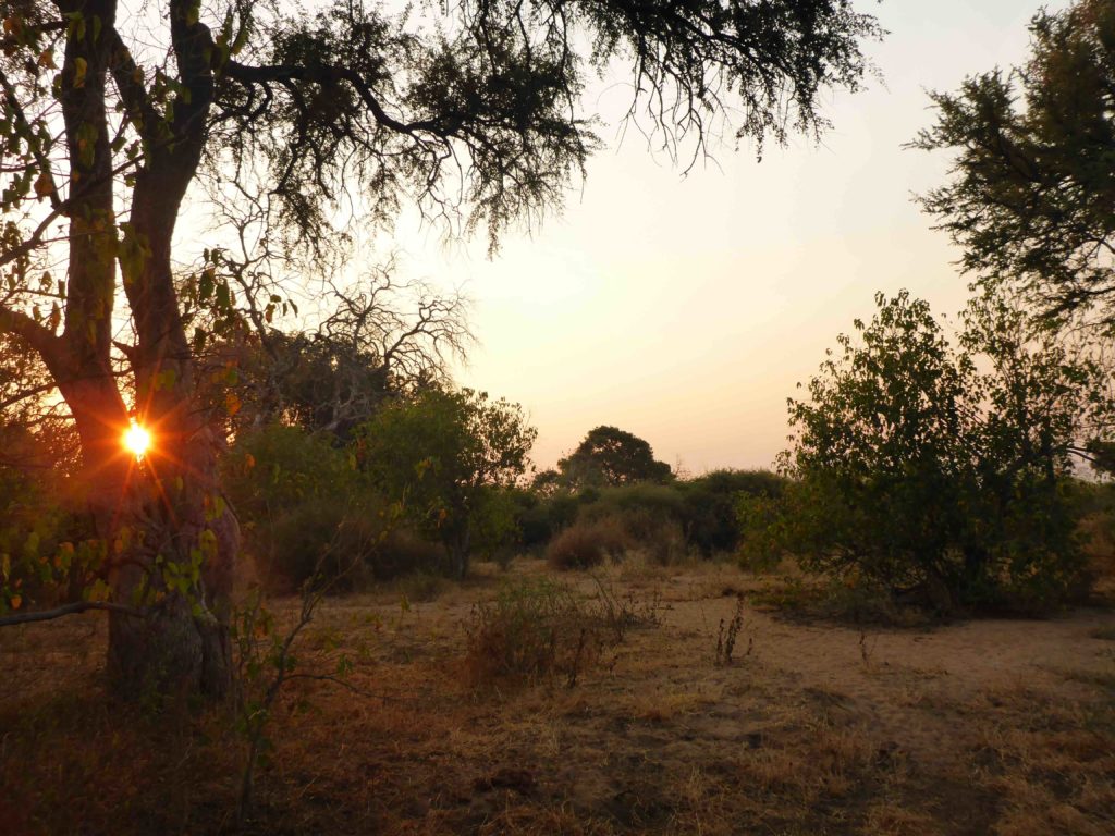 www.iamcalgary.ca IAmCalgary 2016 Cycle Mashatu Botswana Safari Shower Sunset