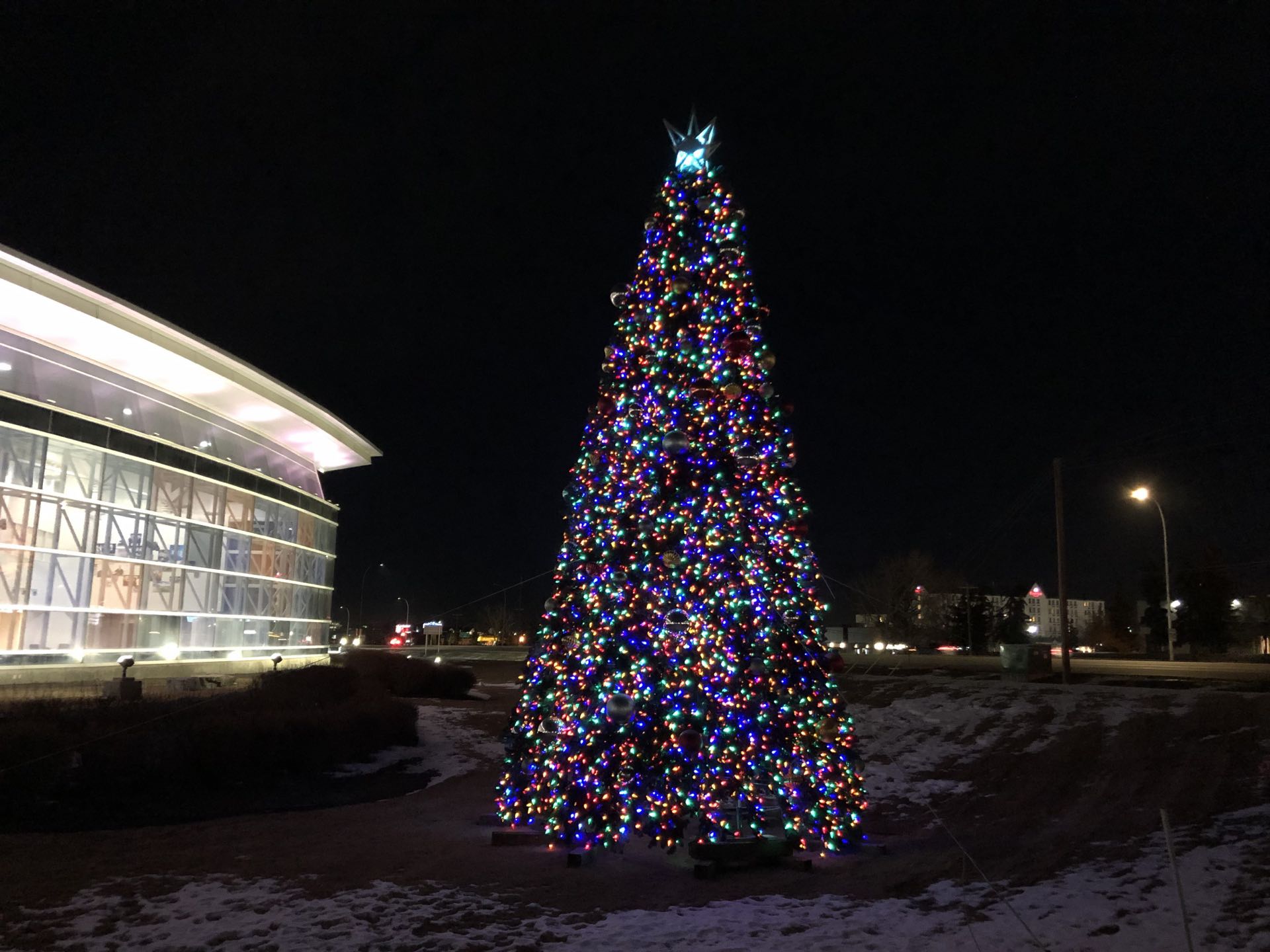Calgary’s Best Decorated Christmas Trees – I AM CALGARY