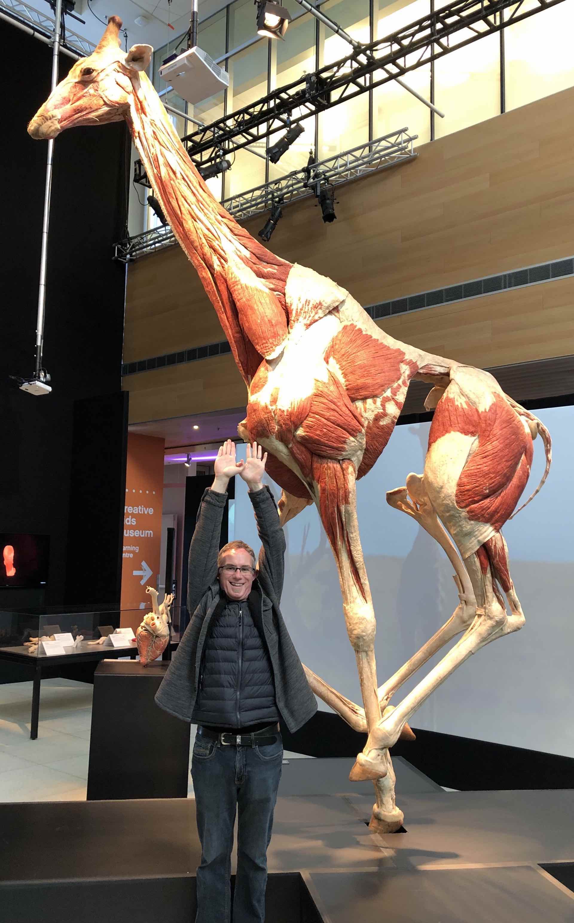 Experiencing Body Worlds’ Animal Inside Out Exhibition at the Telus